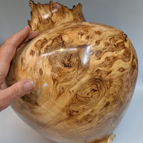 Click to view detail for JW-228 Aspen Burl Hollow Woodturning 13.5x11 $1600